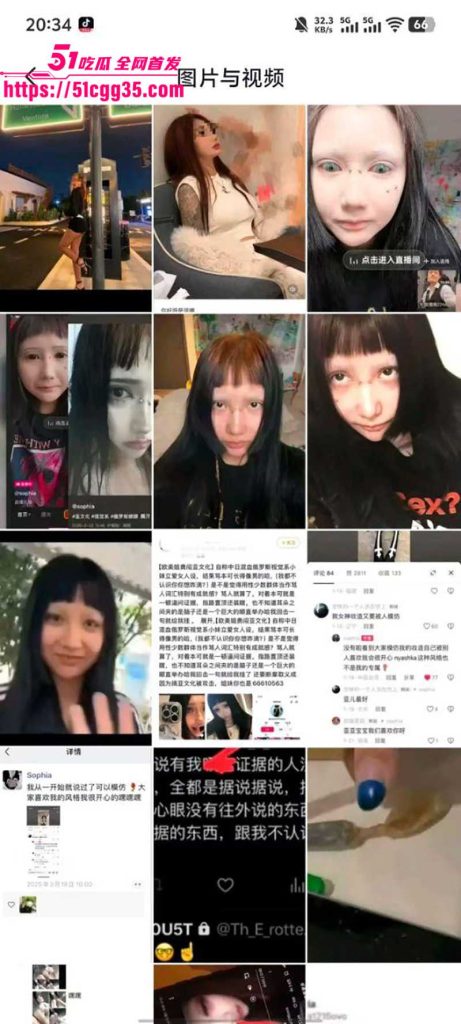 叛逆小网美 索菲亚 不雅视频流出 11 拷贝